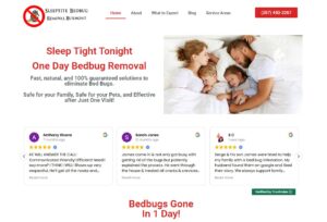 bed bug removal buxmont service